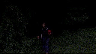 Young Bodies Heal Quickly