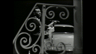 Stevie Ray Vaughan{ Rise Of A Texas Bluesman 1954-1983