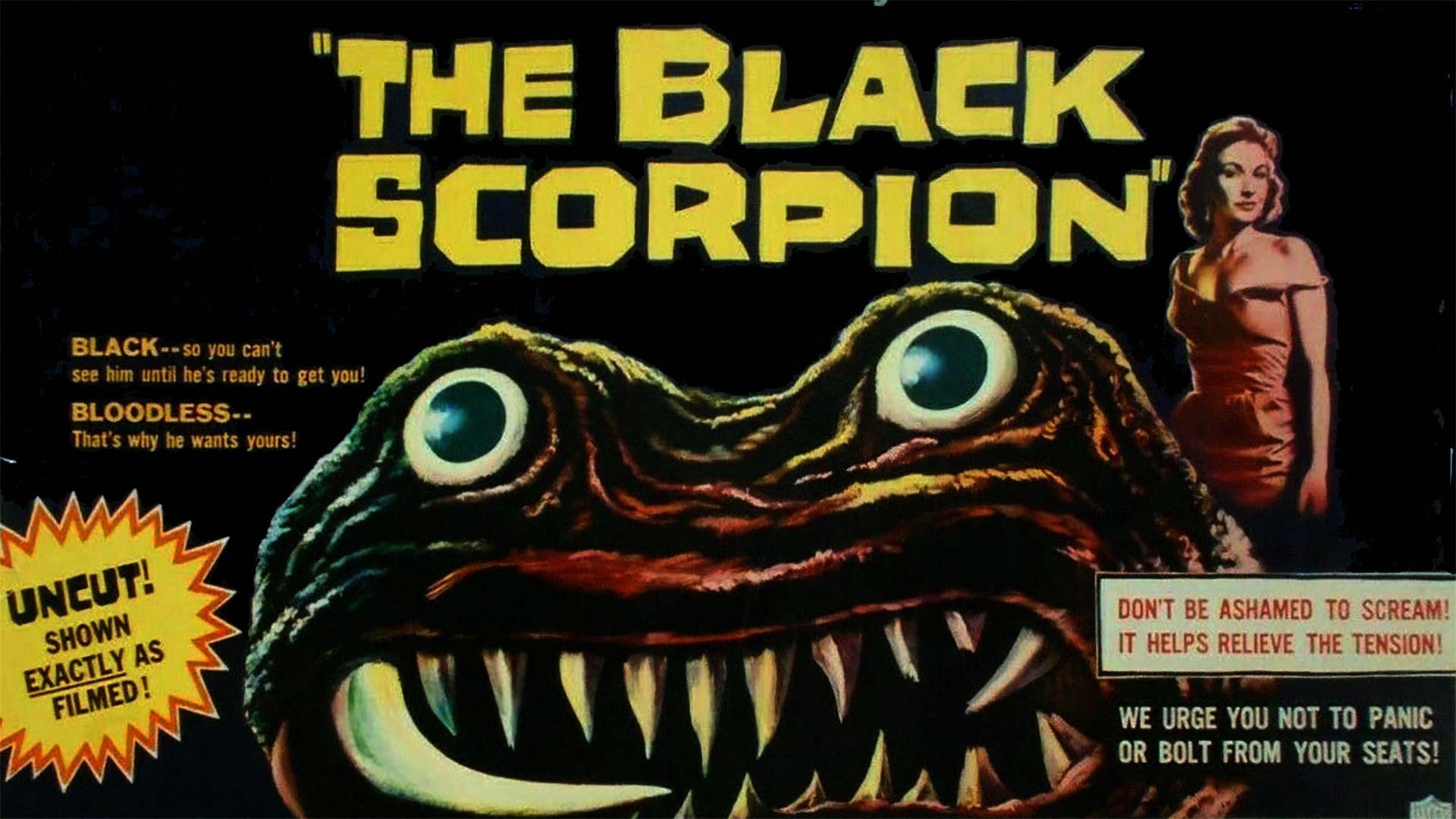 The Black Scorpion