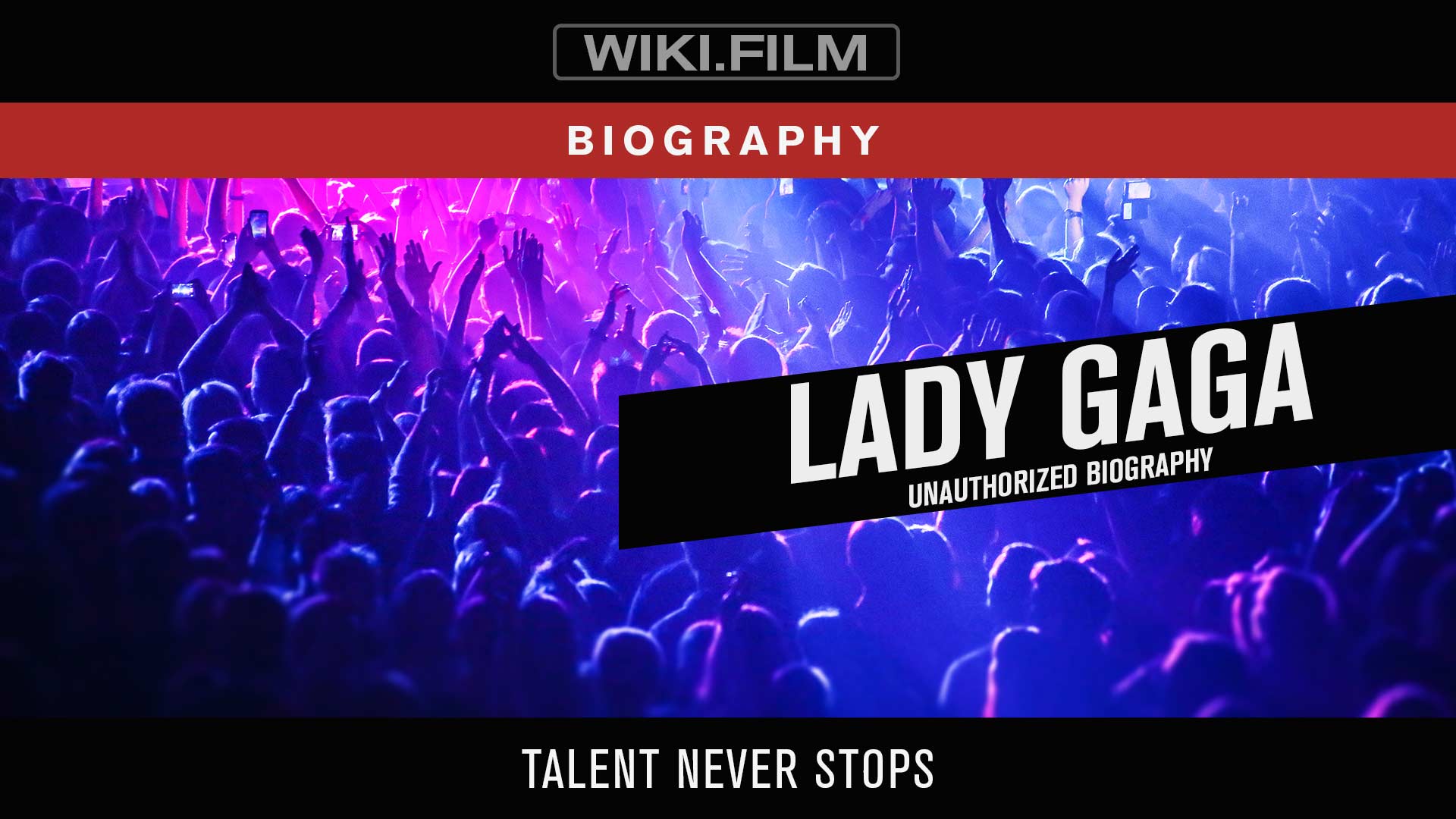 Lady Gaga: Unauthorized Biography