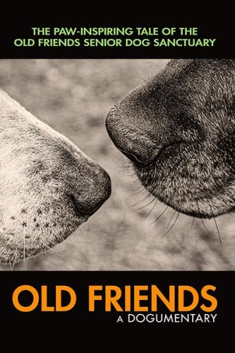 Old Friends a Dogumentary